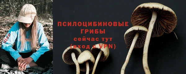 бошки Абинск