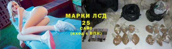 винт Абаза