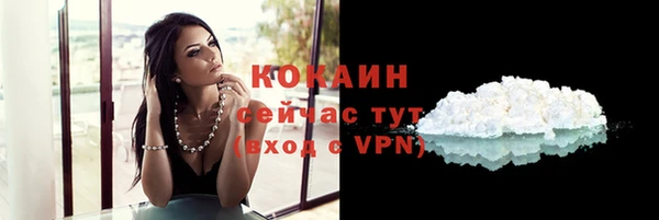 винт Абаза