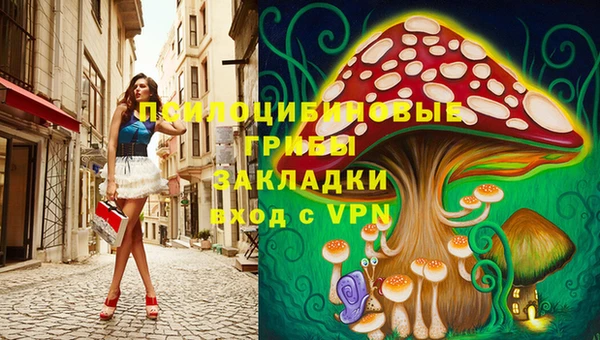бошки Абинск