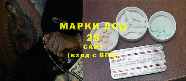 винт Абаза