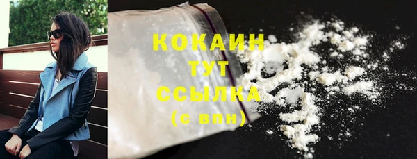 винт Абаза