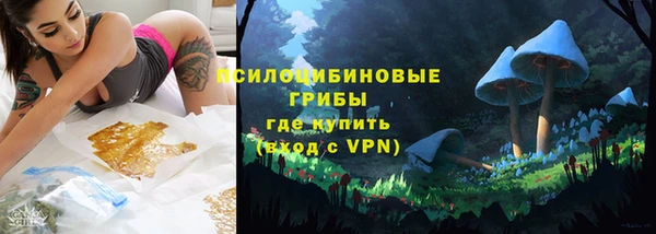 винт Абаза